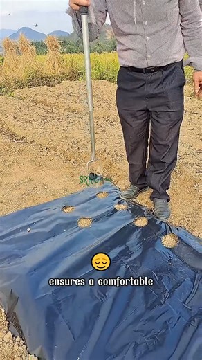 7.1K views · 39 reactions | A stainless steel film hole punch tool with an adjustable rod length for flexible use | Terra Nursery | Facebook