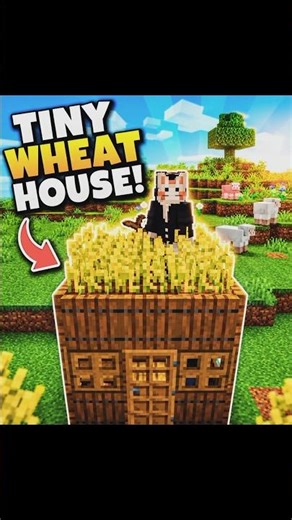 How to build house in minecraft / minecraft video #minecraft #shorts #moja #minecraftbuilding