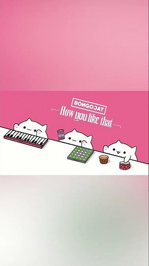BLACKPINK - 'How You Like That' (cover by Bongo Cat) ️🎧