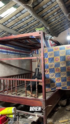 Transforming My Grandparents' Room: A Heartwarming Renovation