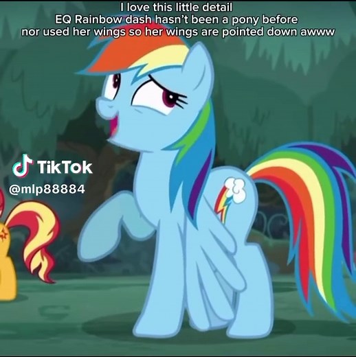 Exploring the Magic of My Little Pony