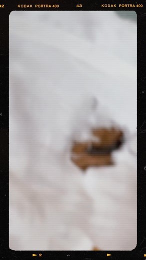 17 reactions | Spooky | Greenbrier Animal Hospital | Facebook