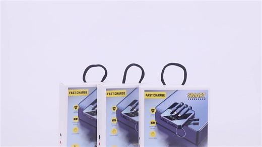 Built-in Cables 10000mAh Li-Polymer Battery 10W Fast Charge Portable Universal Power Bank with LED Light Type-C Android