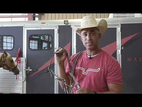 HOW TO SELECT THE RIGHT BIT FOR YOUR HORSE