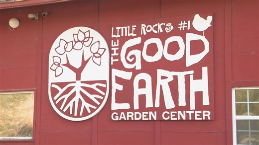 Spring into gardening: Tips for every skill level