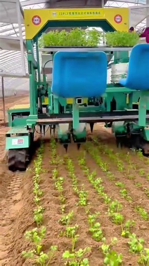 Planting Green Seedlings Into The Ground Using A Modern Automated Greenhouse Tractor Machine