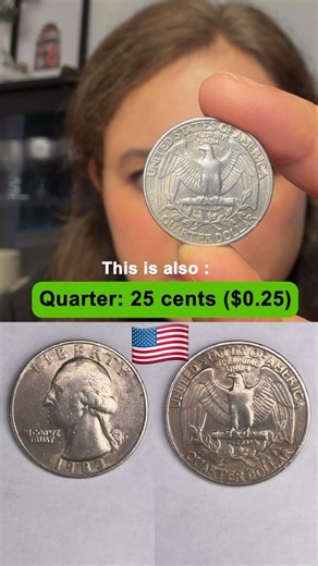 🇺🇸 Every Coin & Bill Used in the USA | Complete U.S. Currency Guide 💵