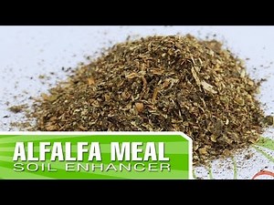 Alfalfa Meal - Mixing with your soil to enrich your garden