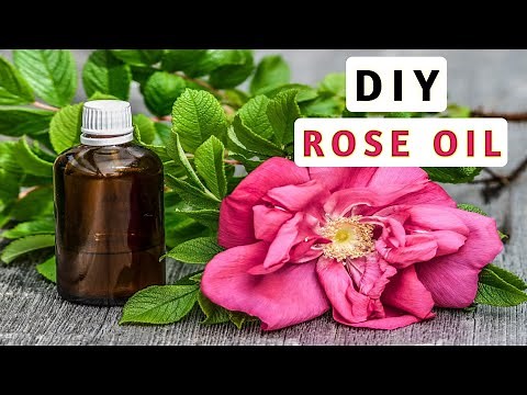 How to make Rose Oil at home | Homemade Rose oil | Diy rose oil | Homemade natural rose oil