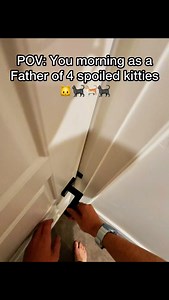 387K views · 5.6K reactions | Meow meow at the end who knew he was such a runner #pov #kitty #cats #newbornkitten #catwheel #reels | Jackson Marz | Facebook
