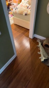 8.7K views · 37K reactions | It’s chaos over here 藍 #funny #wtf #slug #toddlersbelike #relatable #cleaning #messyhouse #fyp #weird #bugs #humor | Takes a Village Cleaning | Facebook