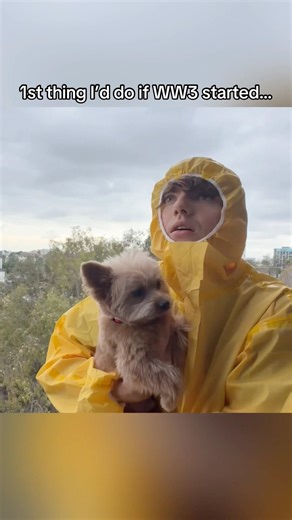 Saving my dog from WW3: