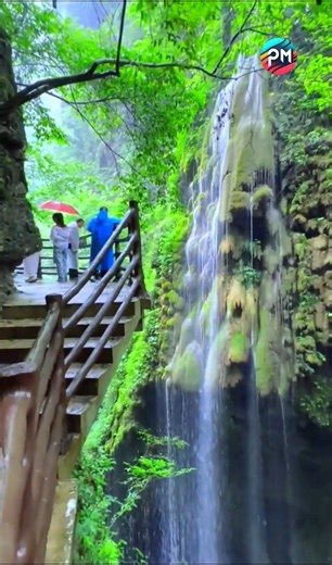 80K views · 5K reactions | peaceful tranquility of nature | Primitive Media | Facebook