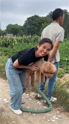 시골의 재밌는 영상이 매일 당신을 행복하게 합니😋❤️🤣 #시골 웃긴 영상 #웃긴영상 #재미있는