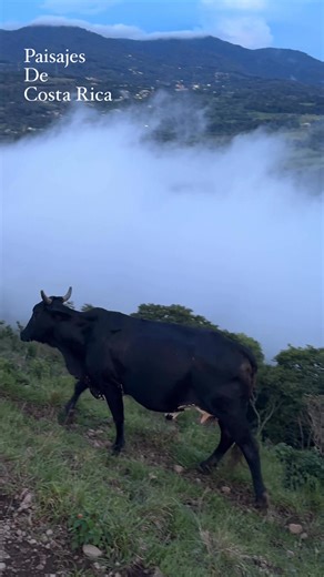 6.6K views · 154 reactions | Paisajes de Costa Rica  | Ticanature | Facebook