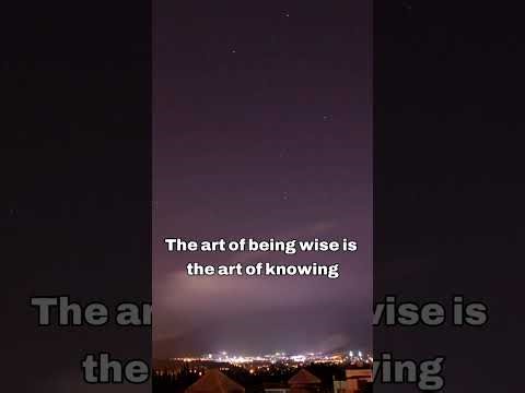 20 Timeless Quotes on Wisdom That Will Change How You Live | Words2LiveBy