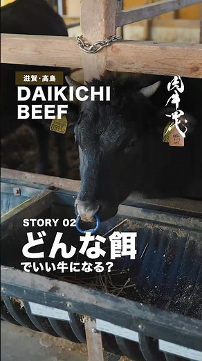 牛って、何を食べて育つの？ / だいきち牧場