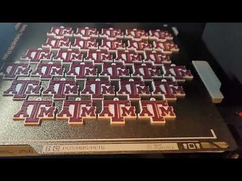 Two Color 3D printing on Bambu Lab P1S by Layer