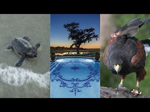 Five-star getaway: Sea Island, Cloister Hotel on Georgia Coast