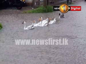 95K views · 725 reactions | City of Colombo and surrounding areas heavily impacted by incessant rains | Newsfirst.lk | Facebook