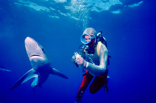サメと遊ぶ伝説のダイバー