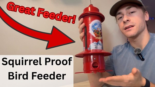 Watch Squirrel Proof Bird Feeder Review - Watch Before Buying! on Amazon Live