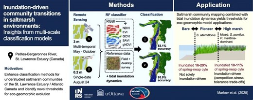 Saltmarsh Transitions in St. Lawrence Estuary Studied | Acacia Markov, MASc posted on the topic | LinkedIn