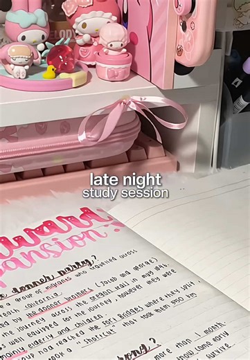 Aesthetic Study Vlog: Notes and Vibes