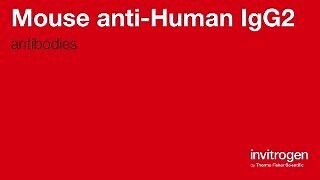 Mouse anti-Human IgG2 secondary antibodies from Thermo Fisher Scientific