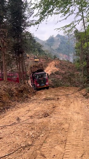 Explore the Power of Chinese Dump Trucks in Logistics
