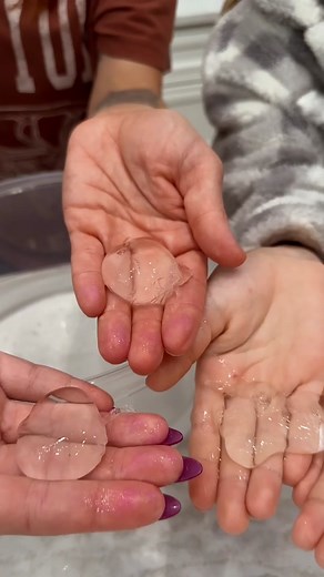 Make Edible Water Bottles: Fun Science Experiment