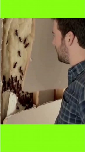 He Broke The Wall And Found THIS! #cockroaches