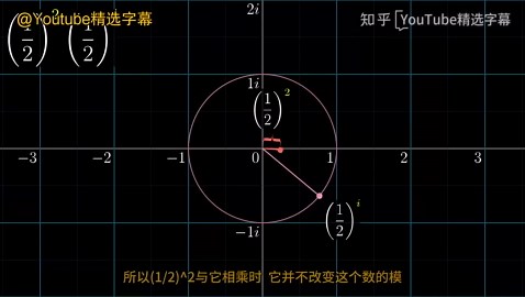 可视化黎曼zeta函数和解析延拓