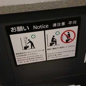 Touring Japan for the first time. Just for the good memories.