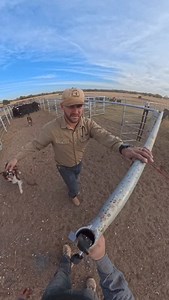 Always one… | Swisher Beef Co.