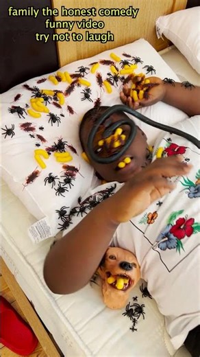 Eating spider cockroach stop motion Funny video Try not to laugh asmr mukbang anaconda snake