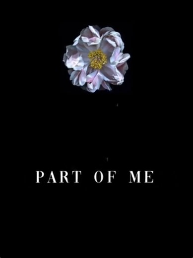 Part of Me Full Lyrics: This is the Part of Me You'll Never Take