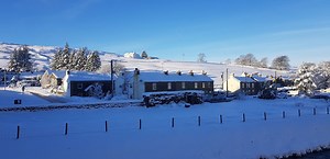 Award winning dog friendly holiday cottages in and around the Lake District