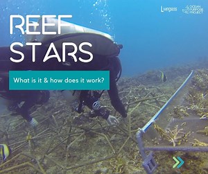 55 reactions |  TGIF - Thank Goodness it's Facts  Have you seen...