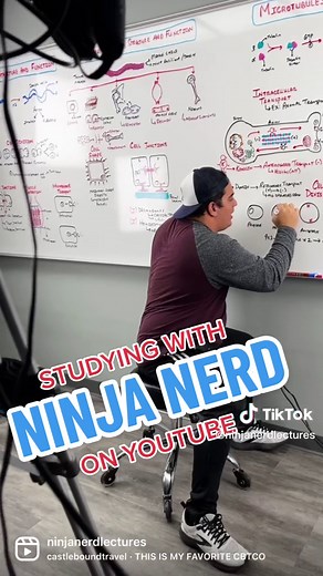 Study Biology, Anatomy & Nursing with Ninja Nerd on YouTube!