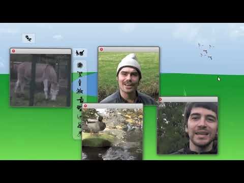 Gut Model - Windmills (music video)