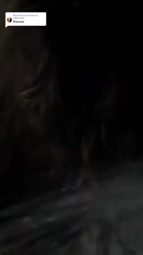 Responder a @mllbby.multx #strangerthings #HistoriadestrangerThings❤️ #pov #inicio #wattpad #siguiendo #steveharrington #eddiemunson #povstrangerthings