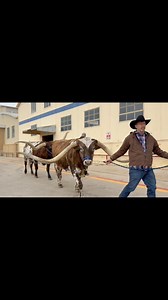 Dunn Road Trip and HX3 Wetzel loved their time at Fort Worth, and so did we! We’re definitely missing it, but can’t wait for our next show!🏆 | Snuff Ridge Herman Ranch