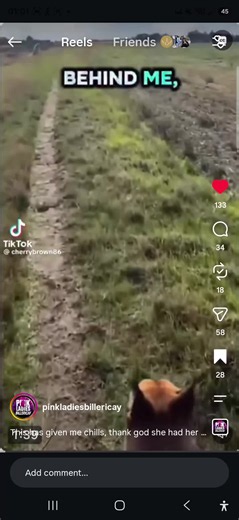 this is scary, a lady is taken her dogs for a walk and a man is following her, women are no longer safe anywhere nor are children. we shouldn't have to live like this. 😤