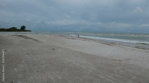 Panoramic view of the Barefoot Beach State Preserve in Florida, a land tortoise sanctuary. Stock Video