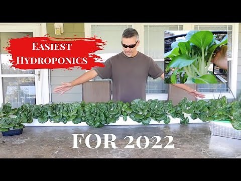 The Easiest Hydroponics System for 2022
