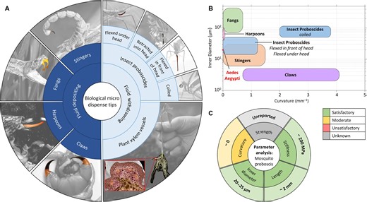 New 3D necroprinting technique uses mosquito proboscis as 3D printing nozzle