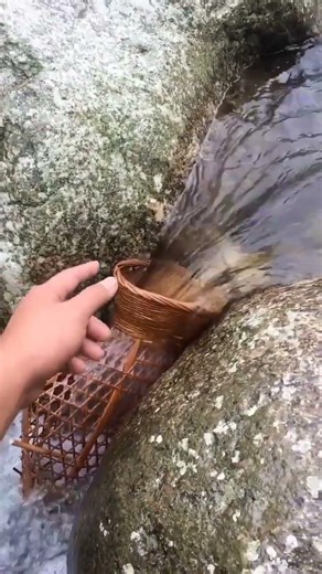 #fishing #1millionviews #vrailvideo #foryou #myaccount sabkarib