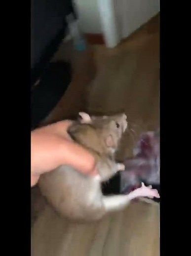 You're my friend now, we're having soft tacos later