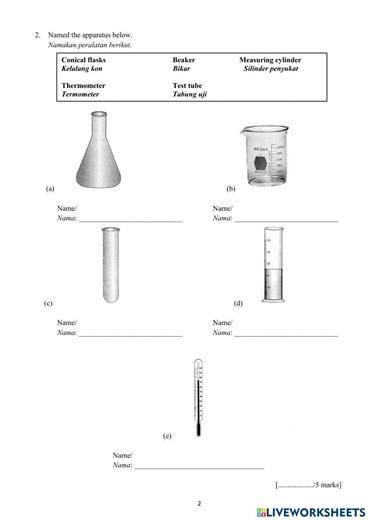 Year 4 Science DLP Exam worksheet